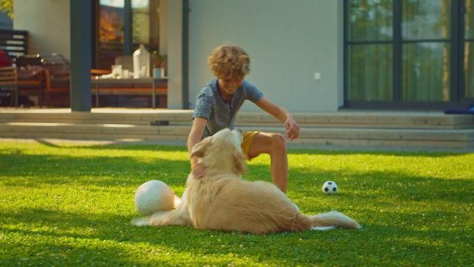 男孩和快乐的金色猎犬在后院的草坪上玩耍。