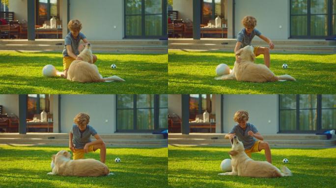 男孩和快乐的金色猎犬在后院的草坪上玩耍。