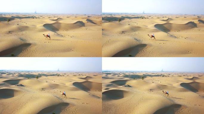 沙漠骆驼横穿沙漠骑行黄沙堆积