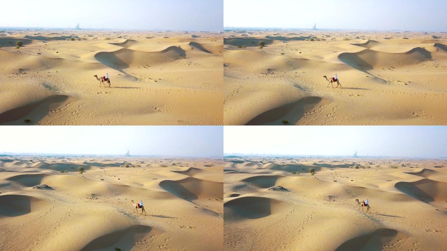 沙漠骆驼横穿沙漠骑行黄沙堆积