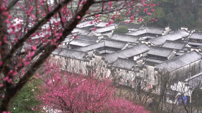 江南古建筑千柱屋白雪红梅春暖花开冰雪融化