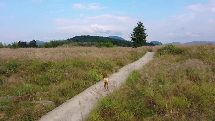 高山芦苇地露营基地