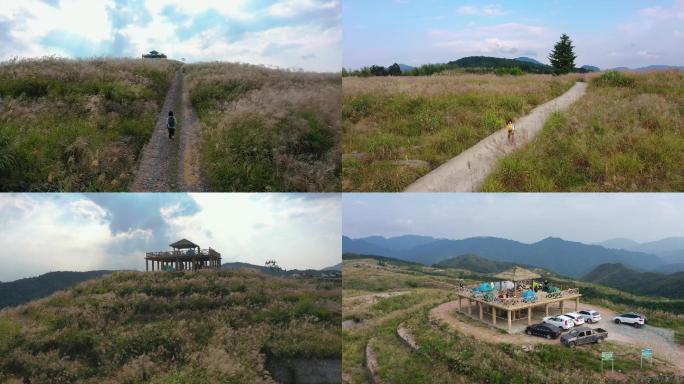 高山芦苇地露营基地