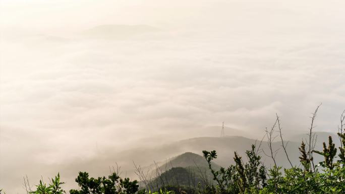 大连大黑山云海如潮，壮观漂亮