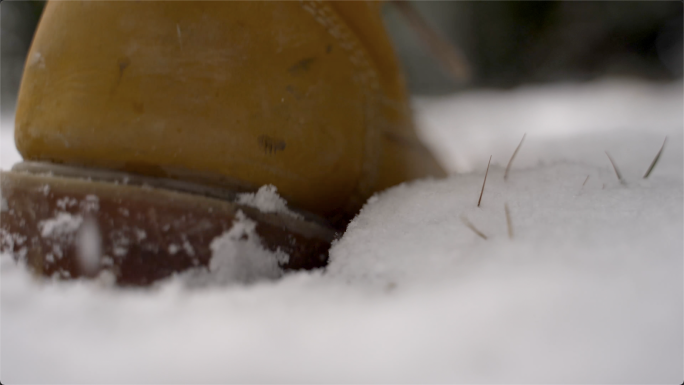 特写雪中脚步，走雪路，雪中脚印，走雪地。