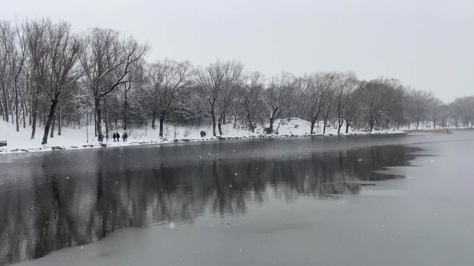 圆明园下雪倒影水面水中公园雪景湖面