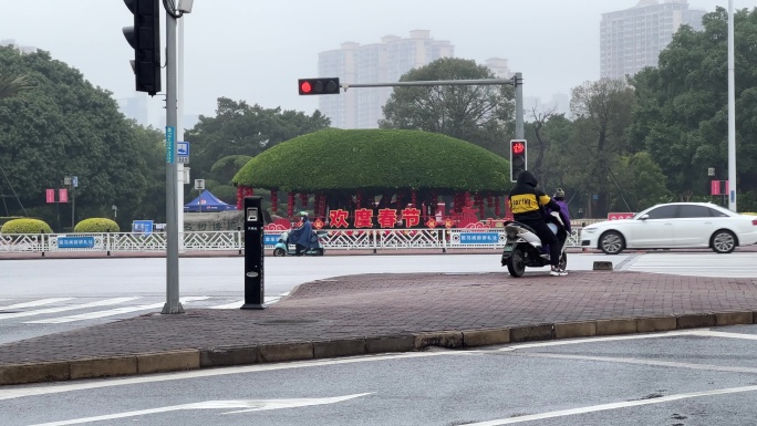 春天的南宁南湖名树博览园特色大门口