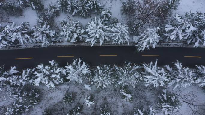 公路雪景