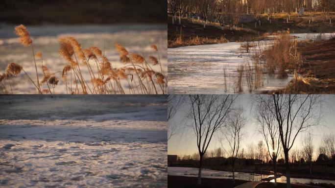 冬天乡村晚霞落日干树枝芦苇结冰的小河