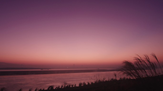 洞庭湖夕阳芦苇4K