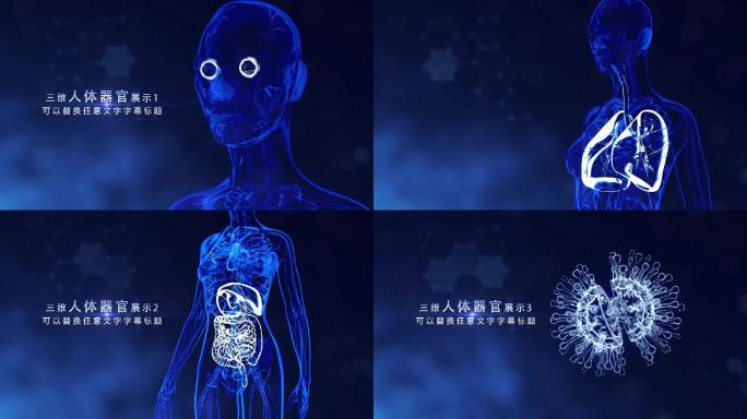 三维人体器官展示动画片头