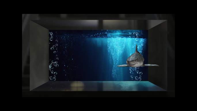 8K裸眼3D冲出海底鲨鱼