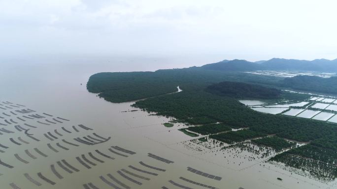 海岸生态治理 海洋环境保护 绿色海岸带