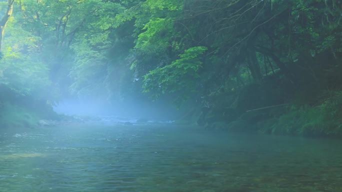 早晨山林雾气河流小溪