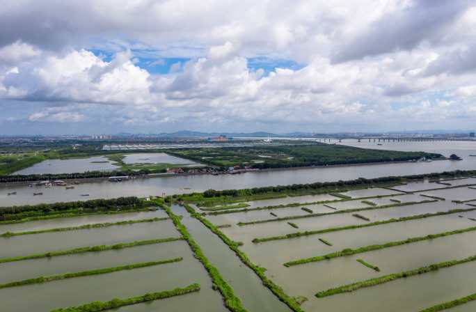 广州 南沙 湿地公园