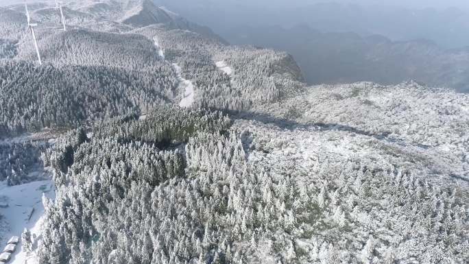 雪景森林航拍实拍