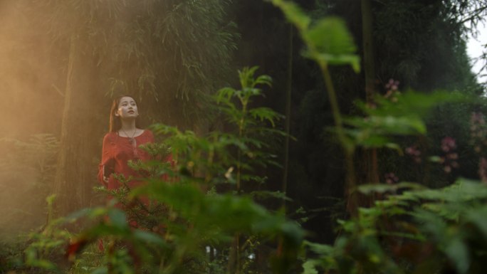 女人在森林里看风景