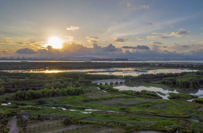 广州 南沙 湿地公园 日出 延时