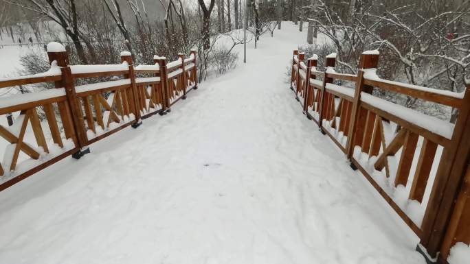 北京奥林匹克森林公园飞雪飘飘的雪景