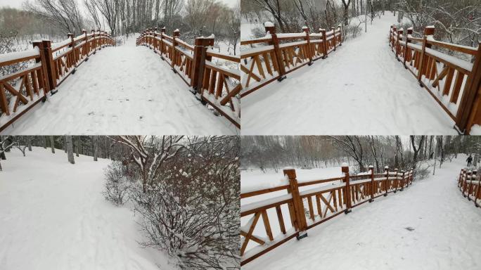 北京奥林匹克森林公园飞雪飘飘的雪景