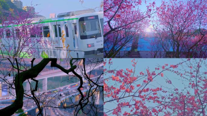开往春天的列车（重庆站）