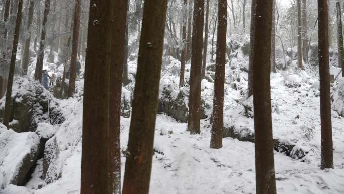 华蓥山林阴小道雪景