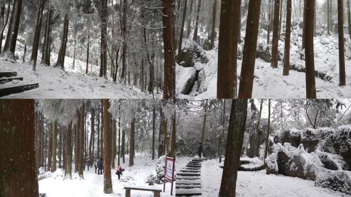 华蓥山林阴小道雪景