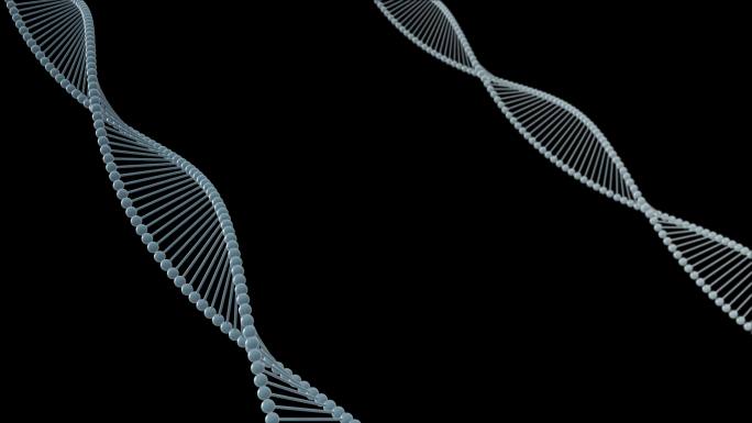 4K三维DNA基因链条循环通道