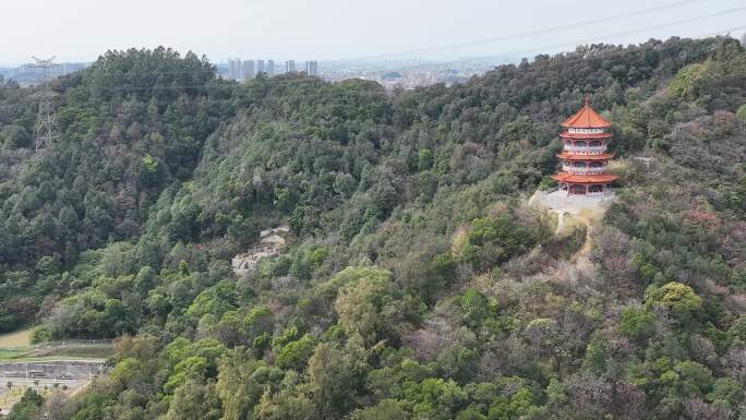 航拍广州金沙洲浔峰岗生态公园（御3）