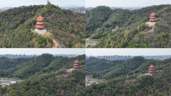 航拍广州金沙洲浔峰岗生态公园（御3）