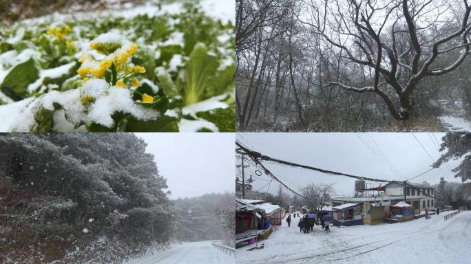 昆明西山一场雪景的美丽邂逅