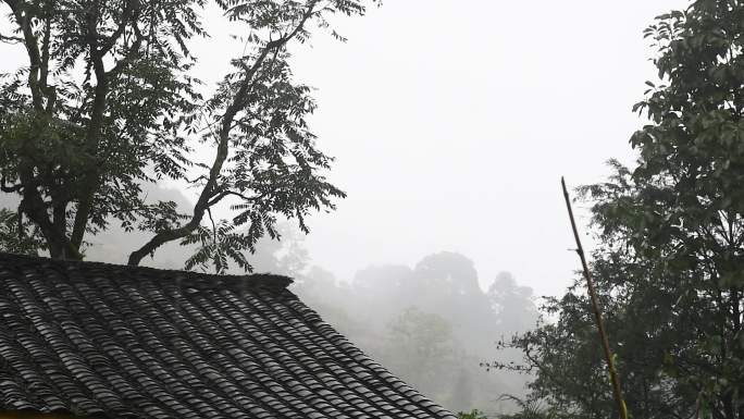 大山树林树木秋雨绵绵青瓦房雾景