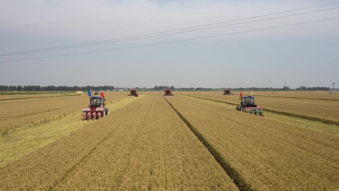 小麦收割机 农民丰收
