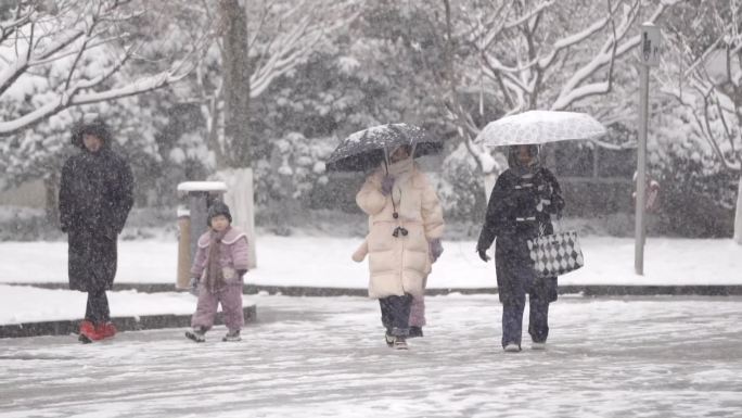 下雪天公园里赏雪的人们