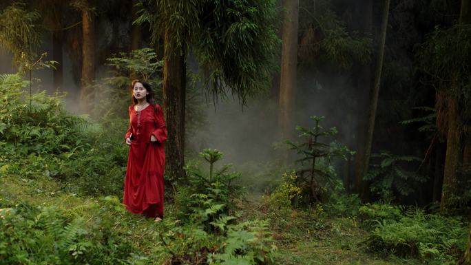 女人在森林里看风景