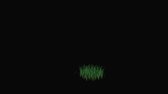草生长 植物生长（有alpha通道）