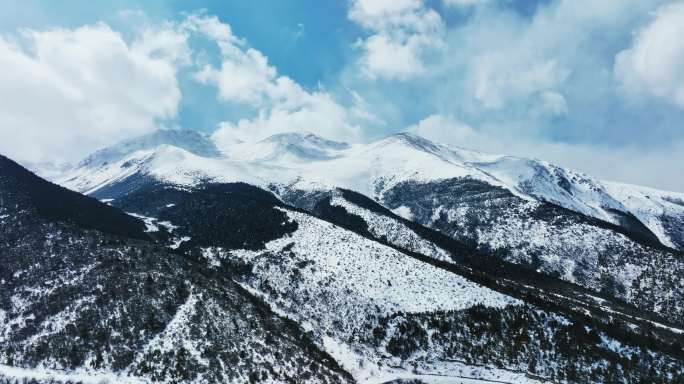 【正版素材】云南香格里拉白马雪山