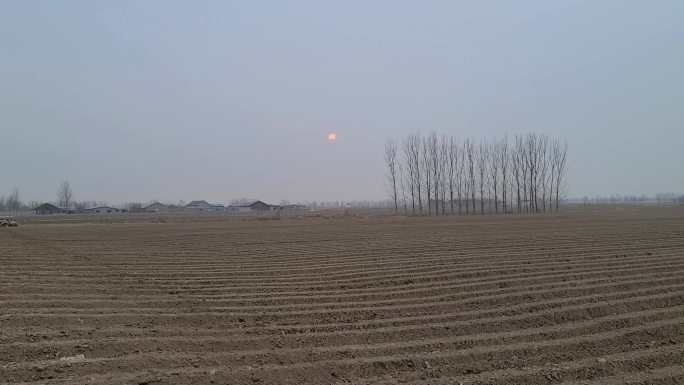 太阳落山农村乡村高密田地破屋