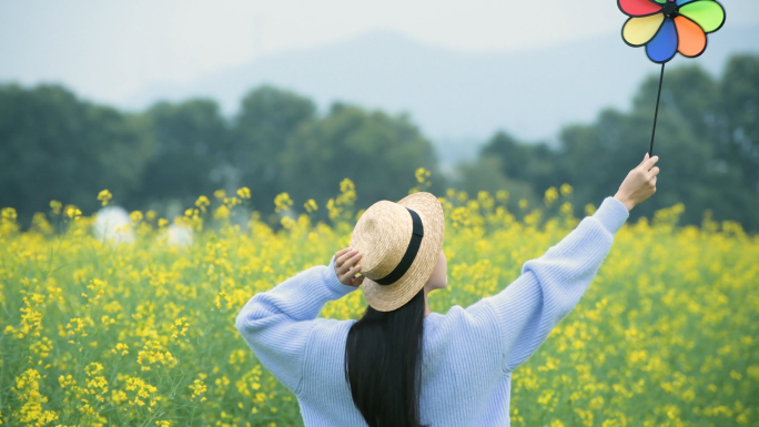 4K油菜花海里的少女