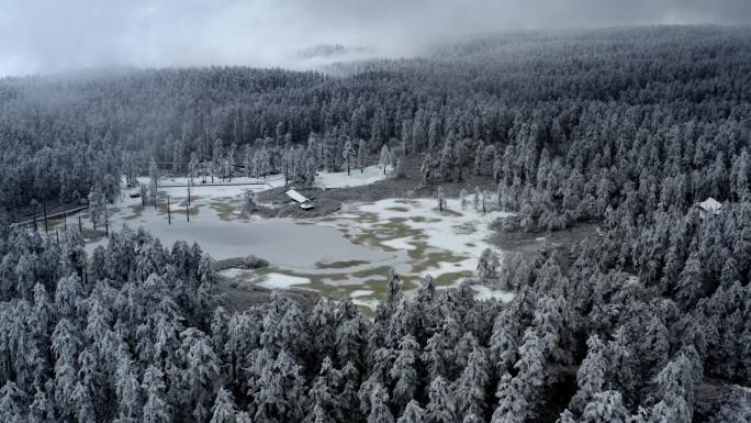 被冰雪覆盖的山顶原始森林和天然湖泊