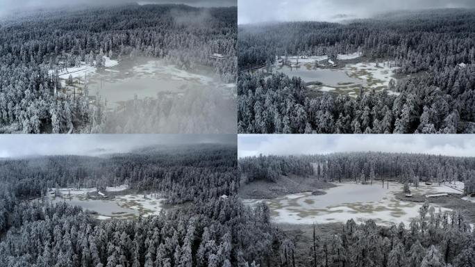 被冰雪覆盖的山顶原始森林和天然湖泊