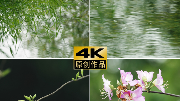 4K实拍河边岸上各种花朵意境空境