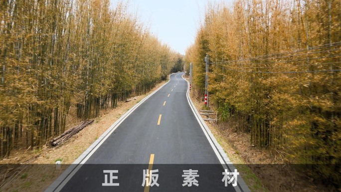 竹林中的公路