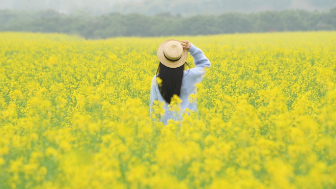 4K油菜花海里的少女