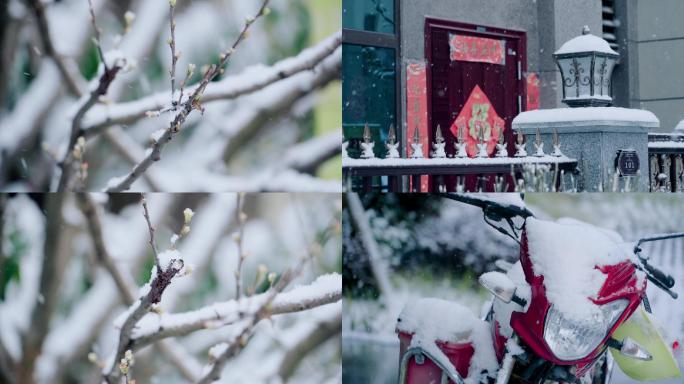 唯美雪景漫天雪花飘落小院枝头冬季路灯雪景