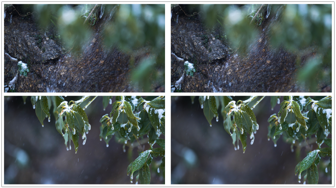 寒冷冬季结冰雪花泉水