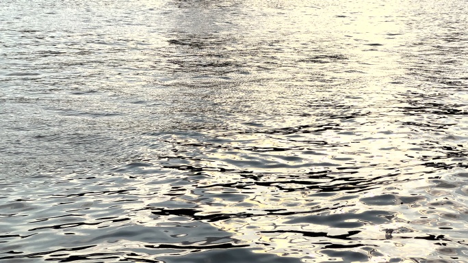 水波纹荡漾在夕阳中