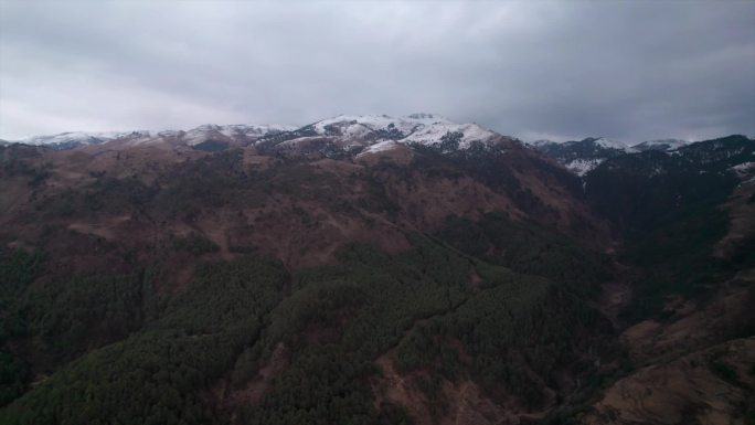 保山香柏场雪景