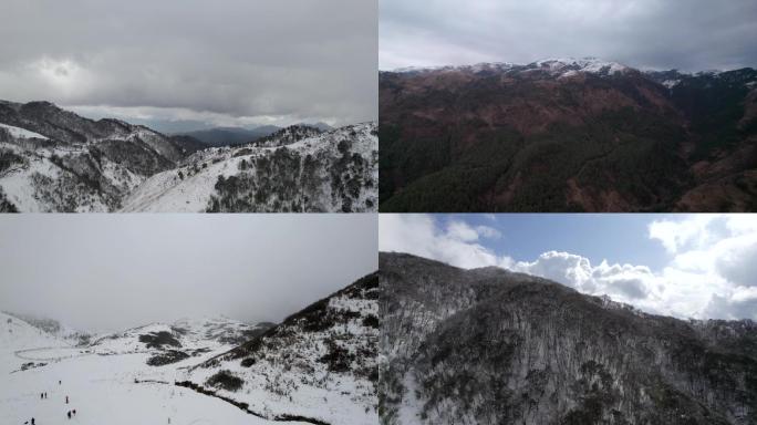 保山香柏场雪景