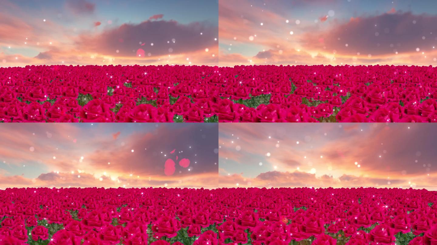 玫瑰花海背景素材 19x1080 高清视频素材下载 编号 舞台背景 光厂 Vj师网 Www Vjshi Com